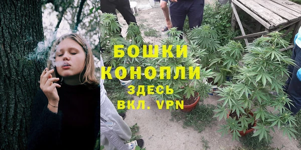 винт Баксан
