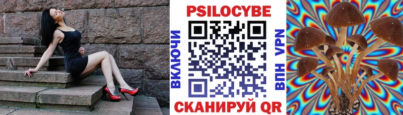 МЕГА ссылка Белая Калитва Псилоцибиновые грибы прущие грибы